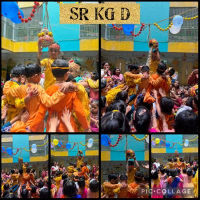 Sr Kg D 9