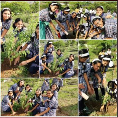 Plantation Drive