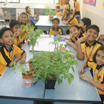 Learning About Plants