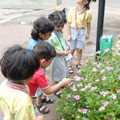 Jr Kg Feild Trip 7