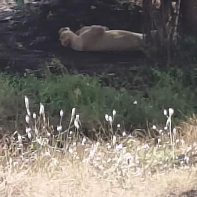 Whatsapp Image 2025 11 03 At 10.33.40