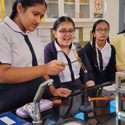 Solving the Mystery of CheMystery.