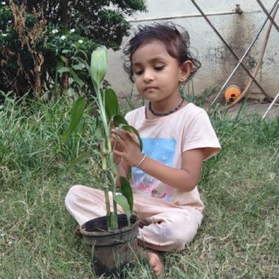 Hitee Bhavesh Gharat Nursery A Roll No 2