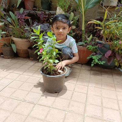 Img20260620125309