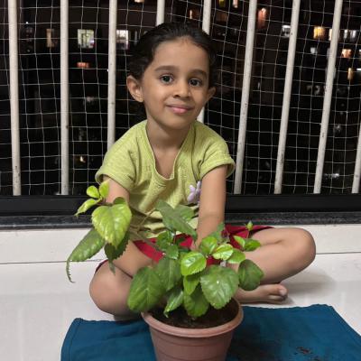 EK PED MAA KE NAAM 2026 PRIMARY 