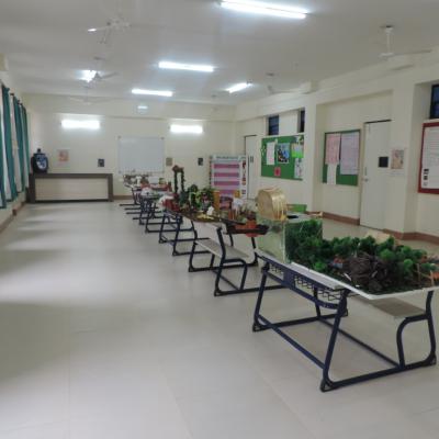 Sci1130613